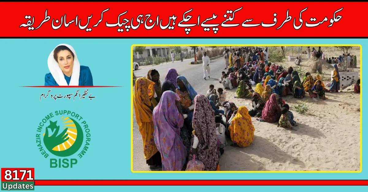 Benazir Income Support Programme New Payment Check Online